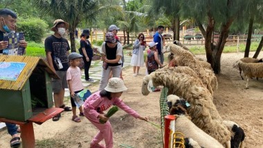 Du lịch bùng nổ, nghỉ dưỡng đa trải nghiệm hút khách